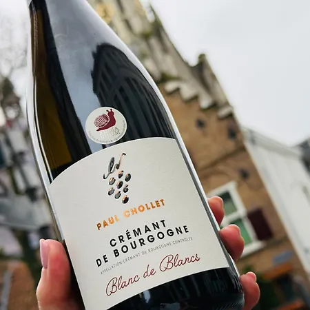 苏特尔酒店 布雷达