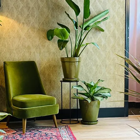 酒店 苏特尔酒店