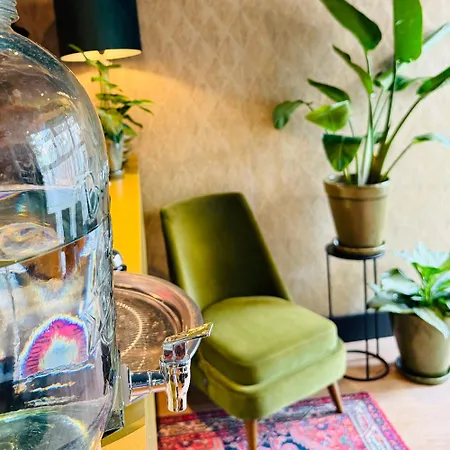 苏特尔酒店 酒店 3*